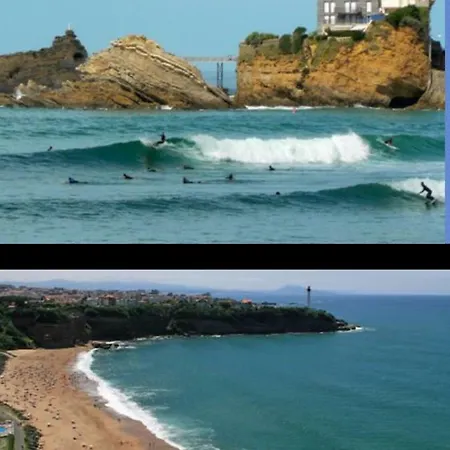 Biscardy